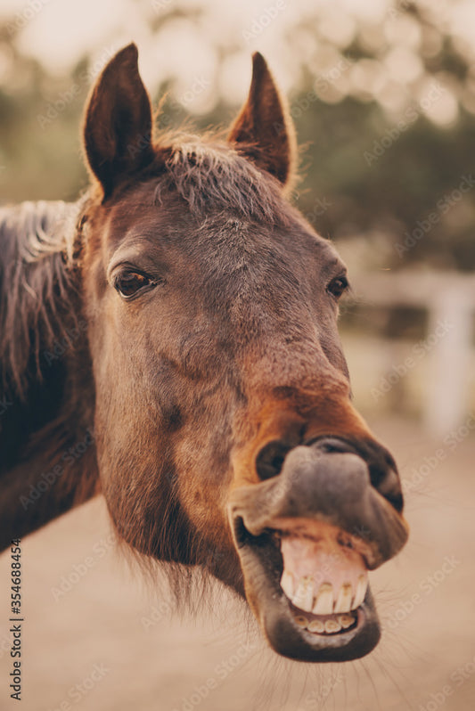 Certified Farm Sitter Courses